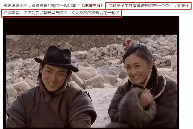 泰迪姐妹团:刘芸篇