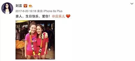 泰迪姐妹团:刘芸篇
