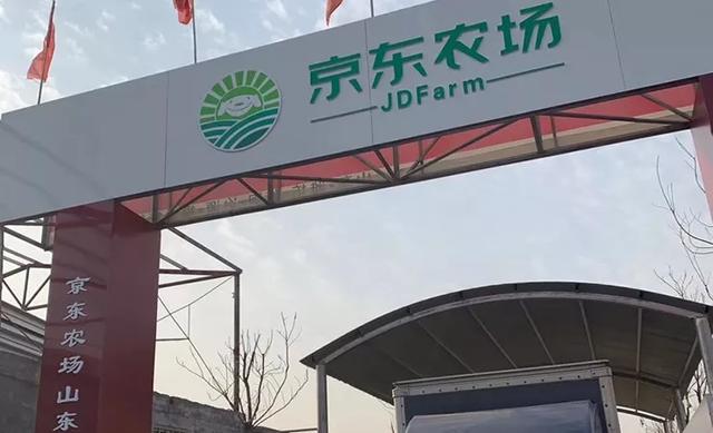 电商的未来不再是平台,而是这两个大风口