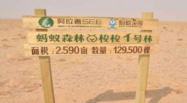支付宝“蚂蚁森林”真种树了吗?3年多过去了,现在变得怎么样?