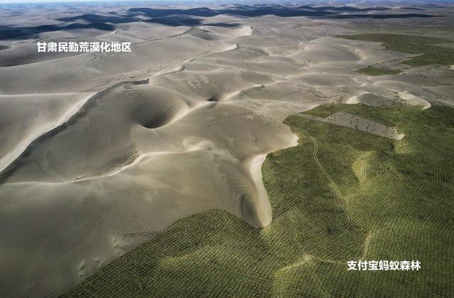 支付宝“蚂蚁森林”真种树了吗?3年多过去了,现在变得怎么样?