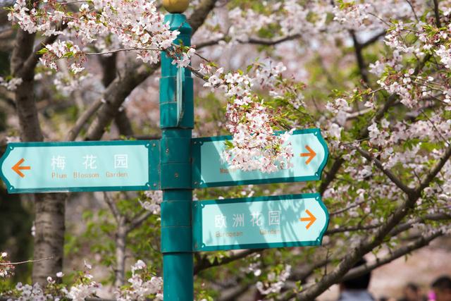 收藏!2020年国内旅游时间表,每个月对应不同地方