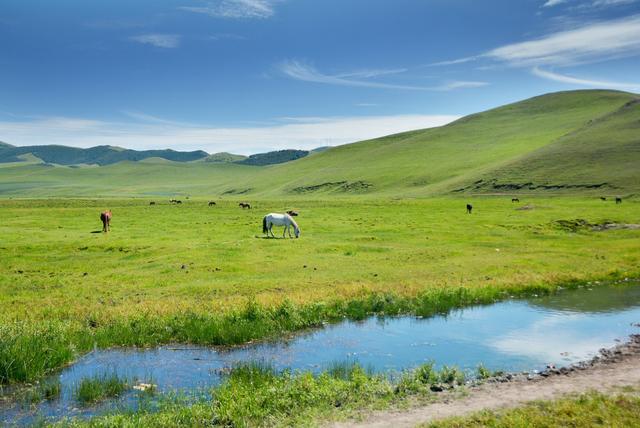 收藏!2020年国内旅游时间表,每个月对应不同地方