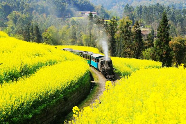 “油菜花开满地黄，丛间蝶舞蜜蜂忙”，细数中国最佳油菜花欣赏地