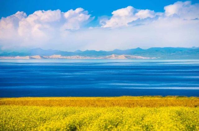 “油菜花开满地黄,丛间蝶舞蜜蜂忙”,细数中国最佳油菜花欣赏地