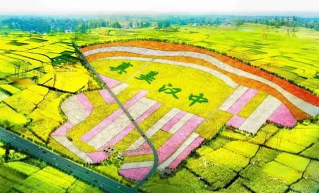 “油菜花开满地黄,丛间蝶舞蜜蜂忙”,细数中国最佳油菜花欣赏地