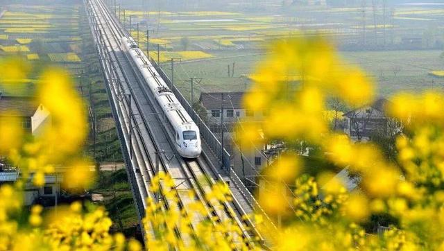 “油菜花开满地黄,丛间蝶舞蜜蜂忙”,细数中国最佳油菜花欣赏地