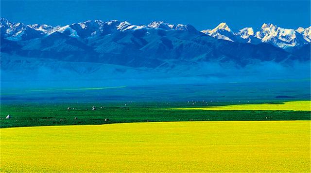 “油菜花开满地黄，丛间蝶舞蜜蜂忙”，细数中国最佳油菜花欣赏地