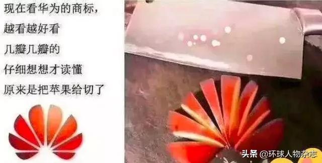 外交部新发言人一上任就开怼!这位推特上最红的“战狼”外交官,果真不好惹
