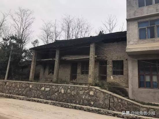 赵薇老公黄有龙发家史:从湖南穷小子到新加坡富商,曾与港姐热恋