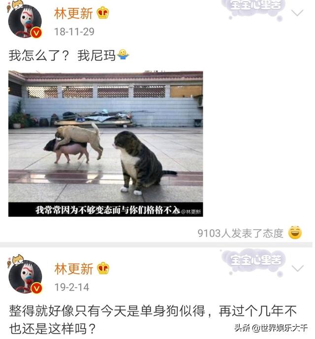林更新,作品三年零更新,是被影视圈开除了么?
