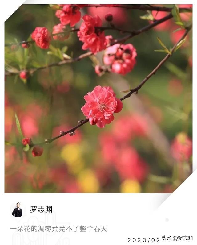 你要先活成一束光源,才能照亮别人的生活 |罗志渊心语