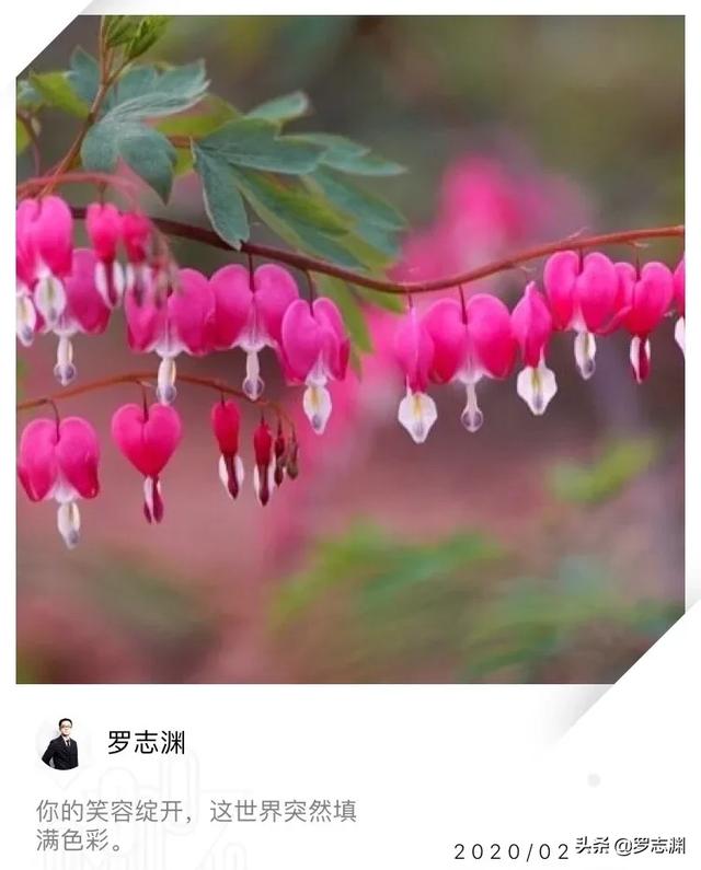 你要先活成一束光源,才能照亮别人的生活 |罗志渊心语