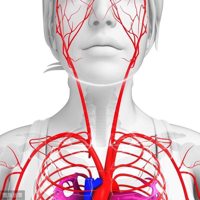 脑供血不足与头晕、脑血管堵塞有关？脑科医生给你详细答复