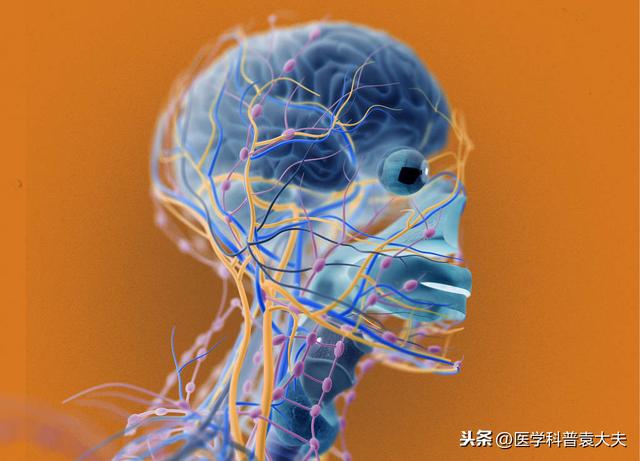 脑供血不足与头晕、脑血管堵塞有关?脑科医生给你详细答复