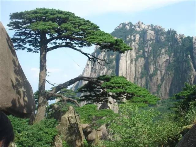 中国最美丽的地方,完整版,终于找齐了