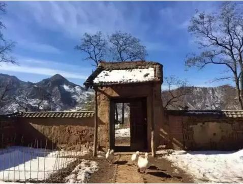 上万人“隐居”终南山,真的是远离世俗吗?当地村民却一直摇头