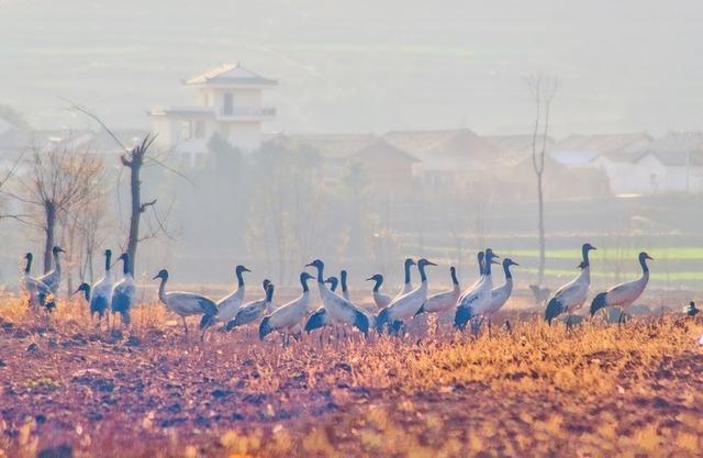 适合一个人去的18个地方，2020年欠自己的旅行，就这样安排吧