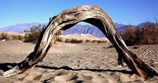 昆仑山上的''地狱之门'',1983年的科考队,在峡谷内的惊人发现