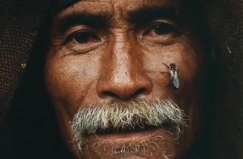 世界上最大的蜂巢,位于喜马拉雅悬崖边缘的“喜马拉雅悬崖蜂巢”