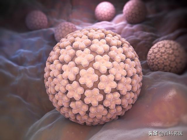 男性感染HPV有什么危害?男性如何预防HPV感染?