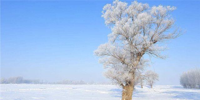 东北三省适合冬季去玩的10个景点