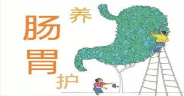 胃有"四怕",要改变才能保护好胃