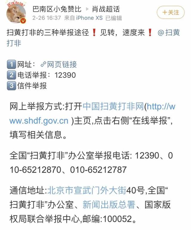 肖战粉丝陷“自杀式举报”,偶像“失声”是饭圈崩坏的原罪吗?