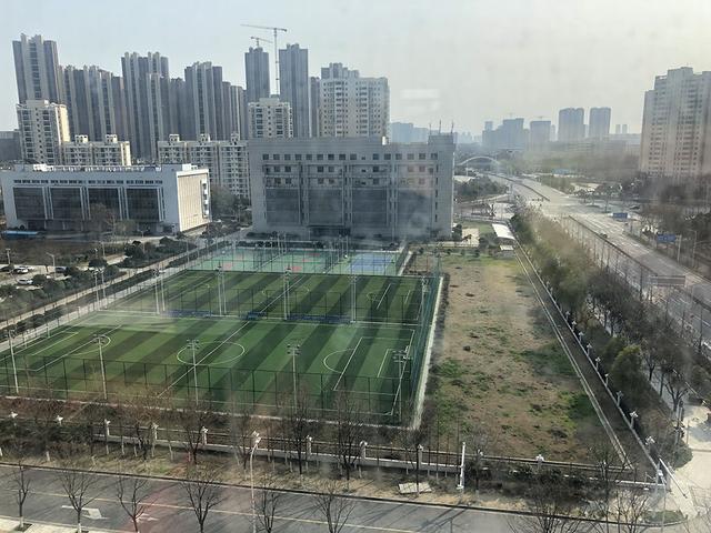 一位女医生的方舱战记:梦里,自己的血被制成特效疫苗