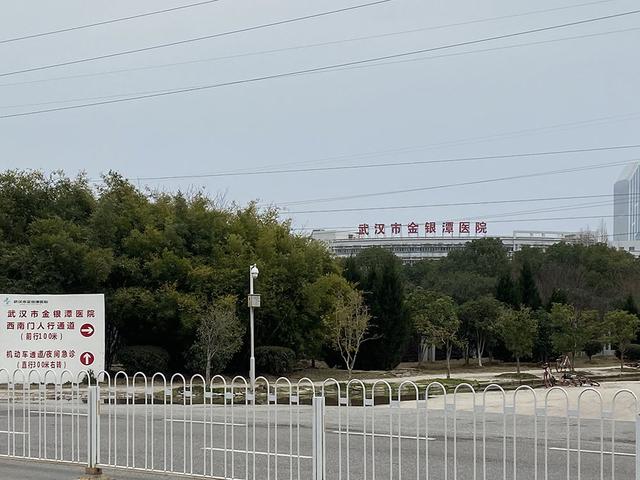 一位女医生的方舱战记:梦里,自己的血被制成特效疫苗