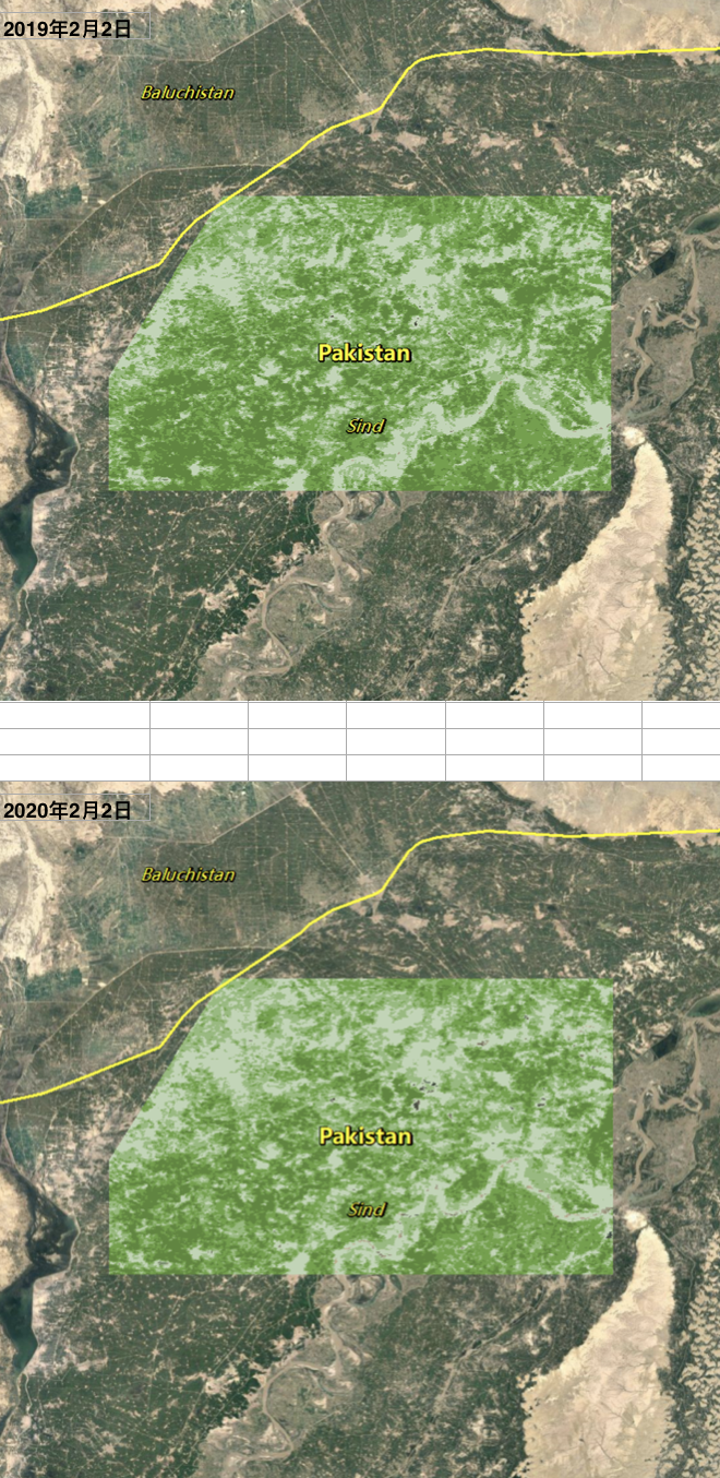 信德省北部2019年2月2日、2020年2月2日卫星影像图