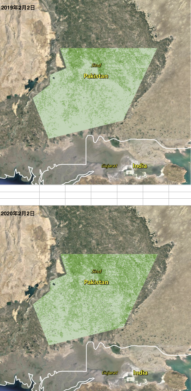信德省南部2019年2月2日、2020年2月2日卫星影像图