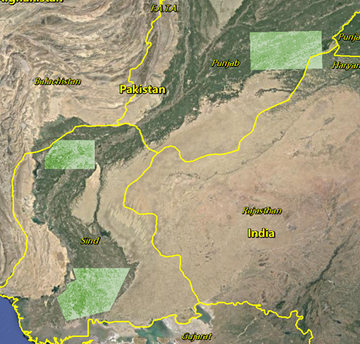巴基斯坦北、中、南部采样区