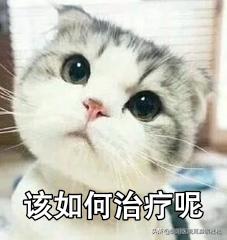晕晕的——前庭神经炎