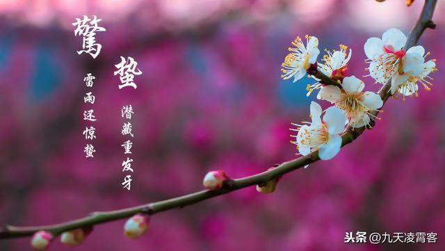 3月5日是惊蛰,是锻炼身体,保养元气的好日子