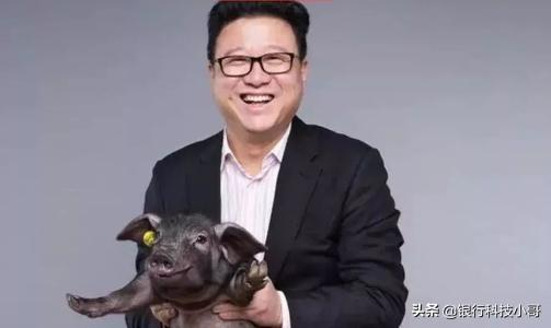 拼多多为什么会成为中国第二大电商平台,答案在这里