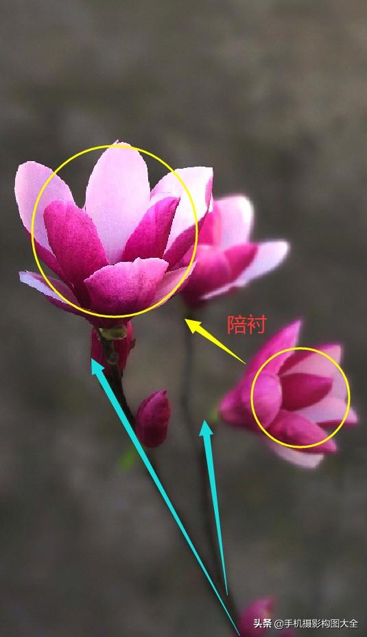 影展点评:揭秘5张照片12个背后的亮点,助你拍大片