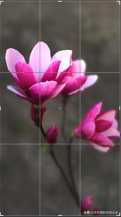 影展点评:揭秘5张照片12个背后的亮点,助你拍大片