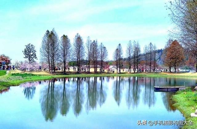 影展点评:揭秘5张照片12个背后的亮点,助你拍大片