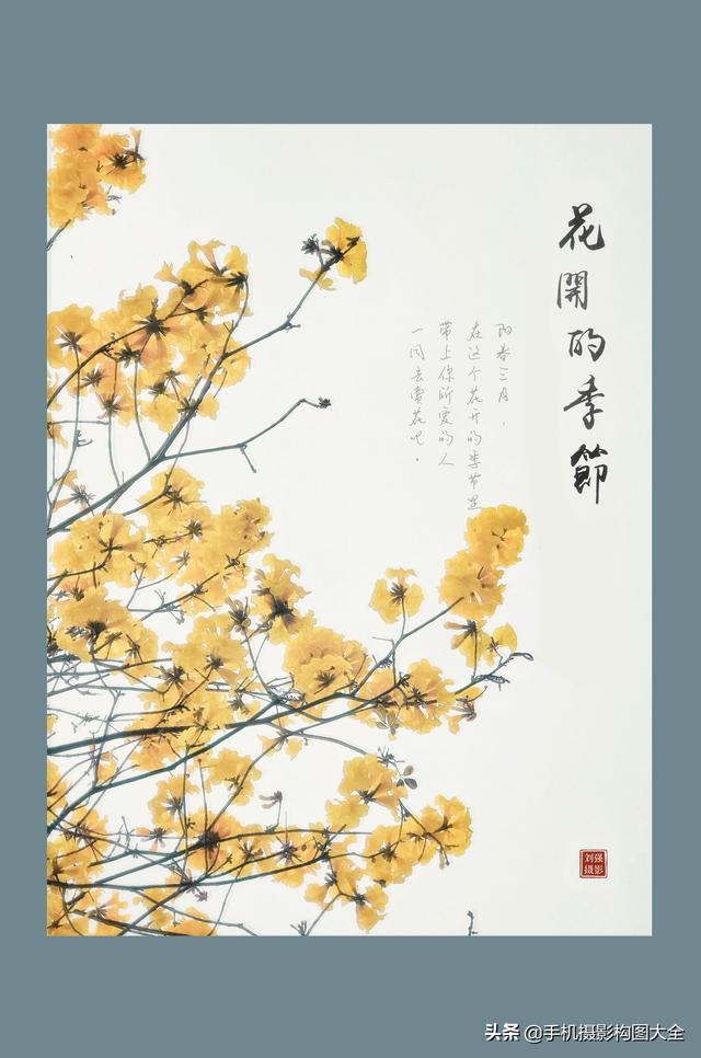 影展点评:揭秘5张照片12个背后的亮点,助你拍大片