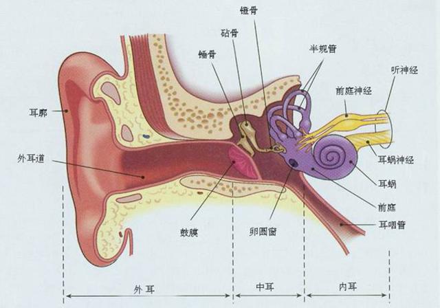 听神经瘤导致的耳鸣，比起平常的耳鸣有什么特点？