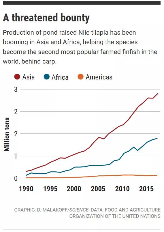 新型病毒来袭：已在全球悄然传播，导致大量养殖鱼类死亡