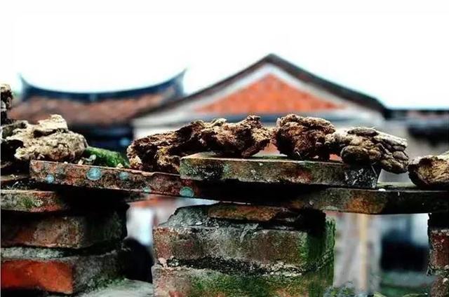 别“厝”过!红砖建筑、田园风景…厦门这座百年古厝,惊艳了时光