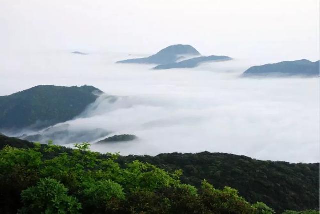 大隐隐于群山——广东第一峰,看最美云海,堪称人间仙境