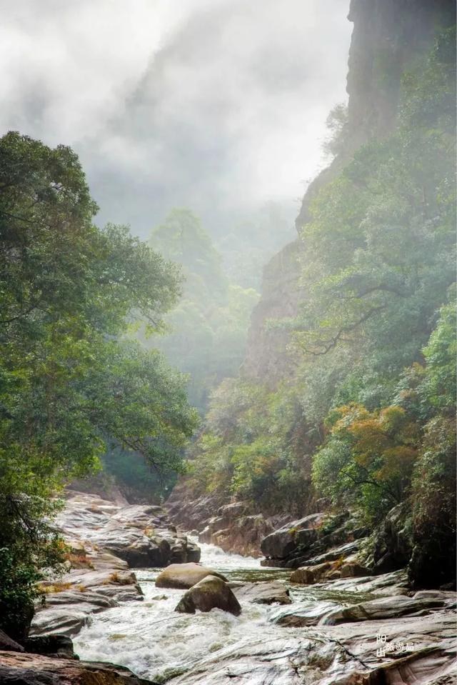 大隐隐于群山——广东第一峰，看最美云海，堪称人间仙境