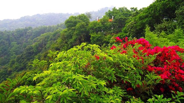 广东自驾游必爬的7座山，你怎么能够错过？