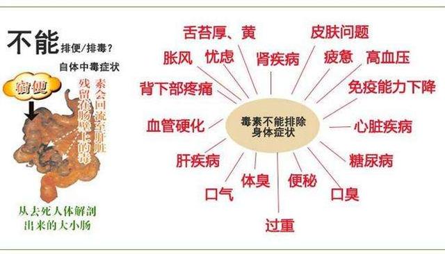 健康:六大类人,体内容易积存宿便