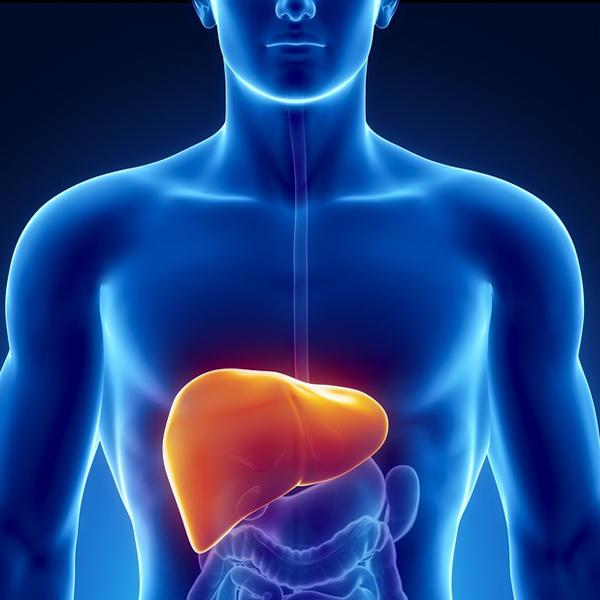 健康：饮食过度对肝脏有什么危害？
