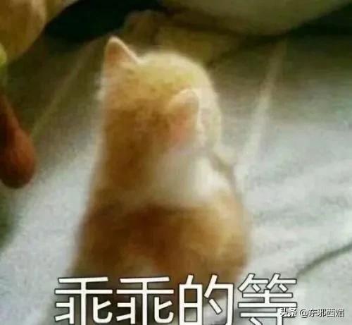他俩不是“明媒正娶”,是“名正言顺”?