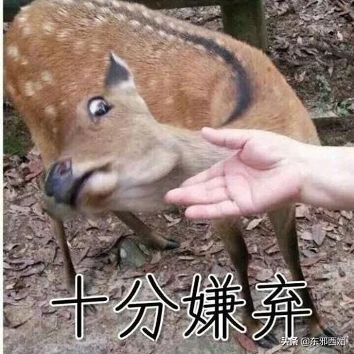 他俩不是“明媒正娶”,是“名正言顺”?
